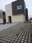 DSC00705.JPG