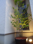 DSC00712.JPG